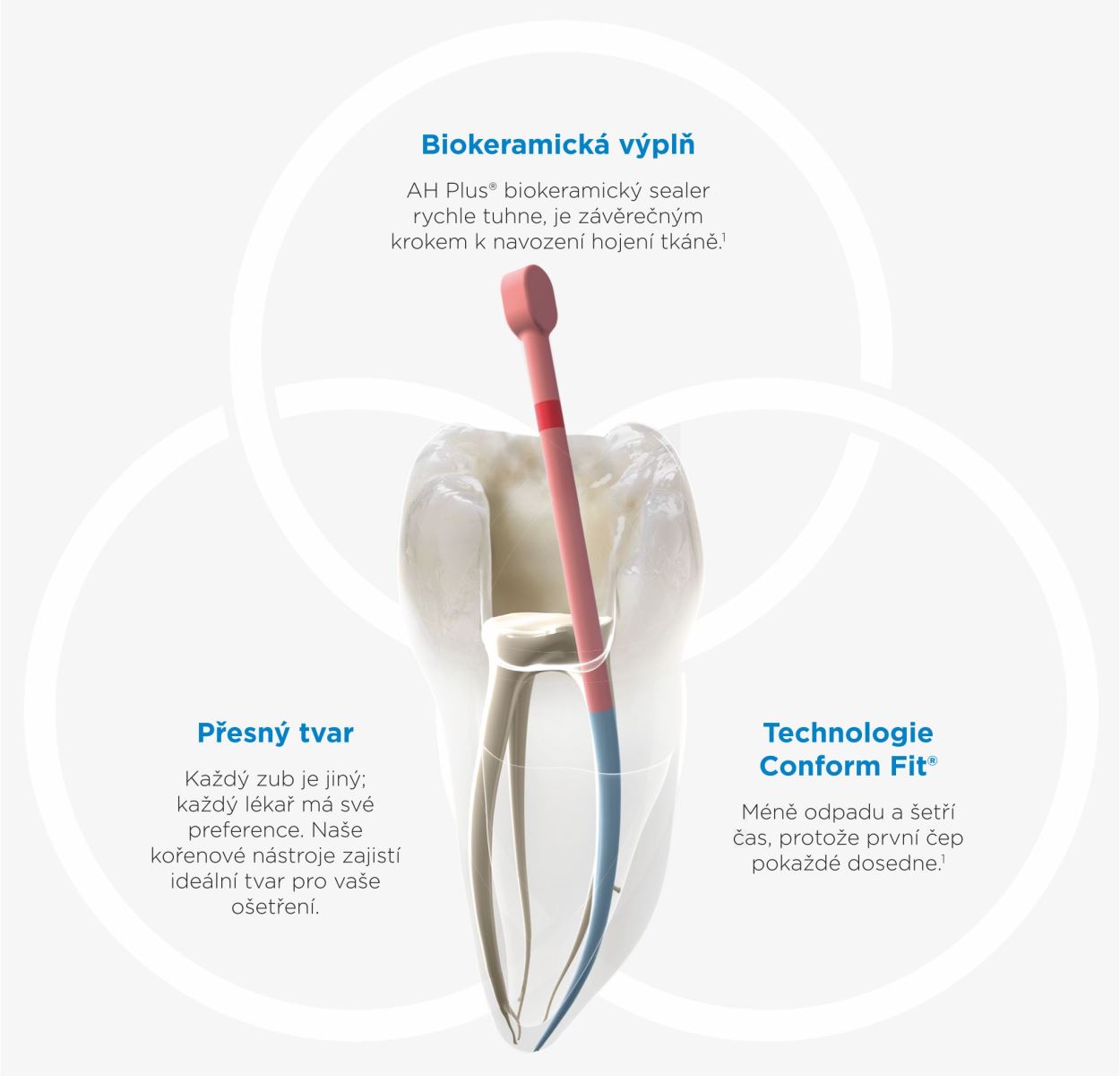 AH Plus Bioceramic Sealer starter kit HUFA